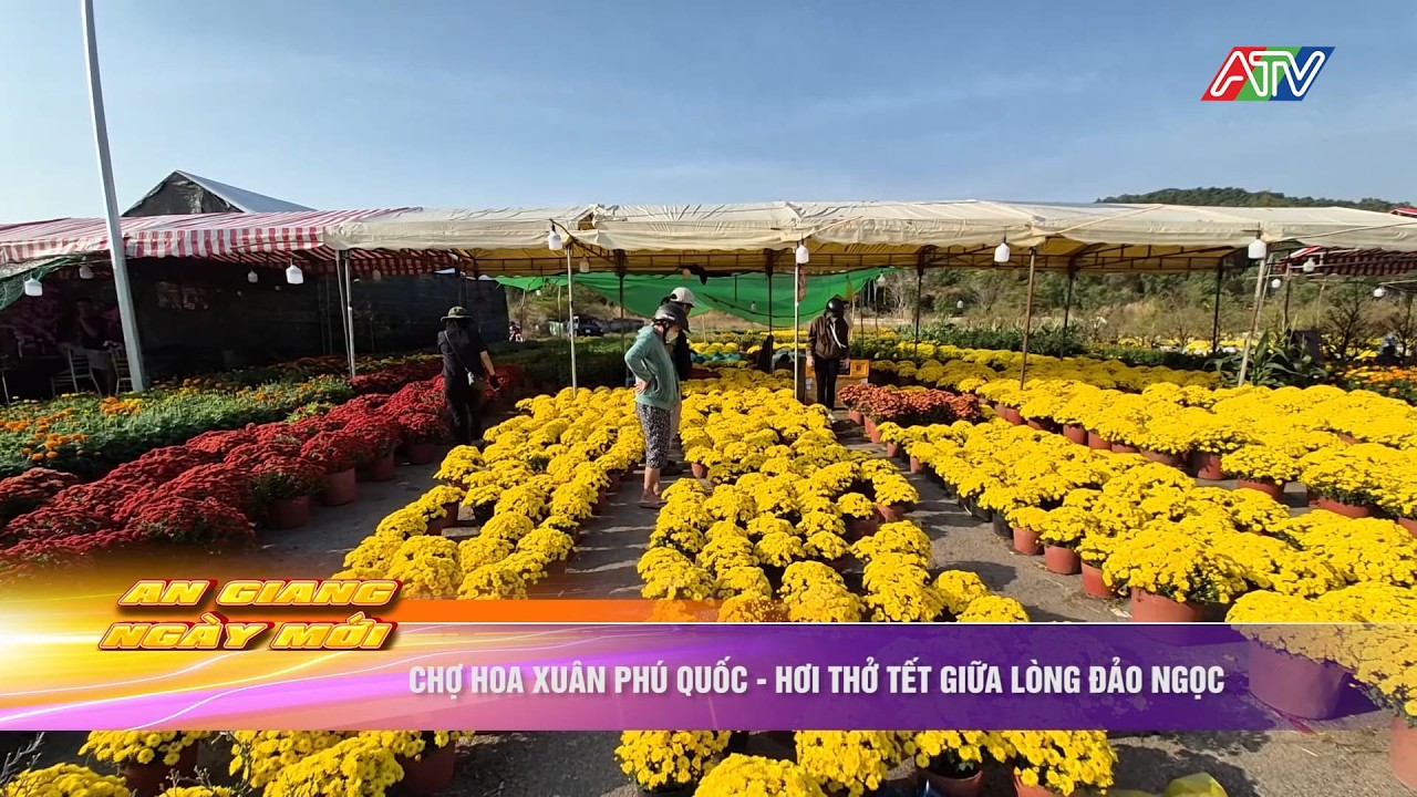 Chợ hoa xuân Phú Quốc - Hơi thở tết giữa lòng đảo Ngọc | Truyền hình An Giang 2