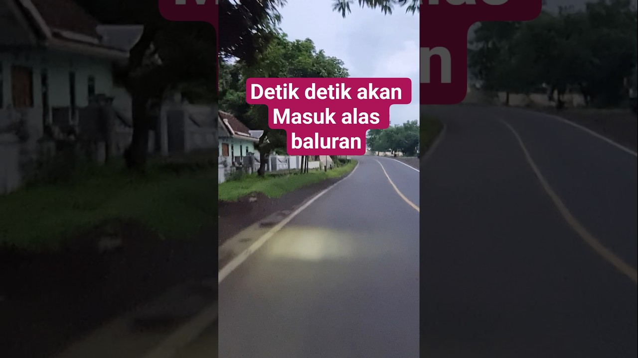 detik detik akan memasuki alas baluran situbondo