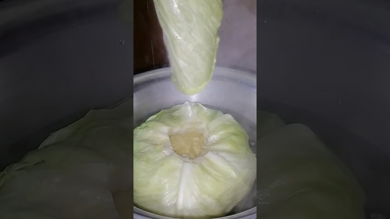 تفريز الكرنب الصح ❄️ سر يخلّيه طري ومش مسود طول السنة