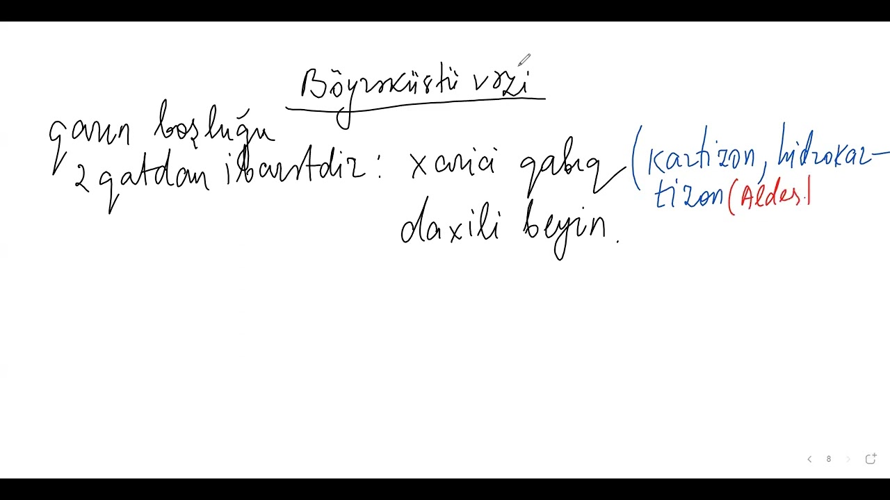 vəzilər. sentyabr qrupu dərs izahı
