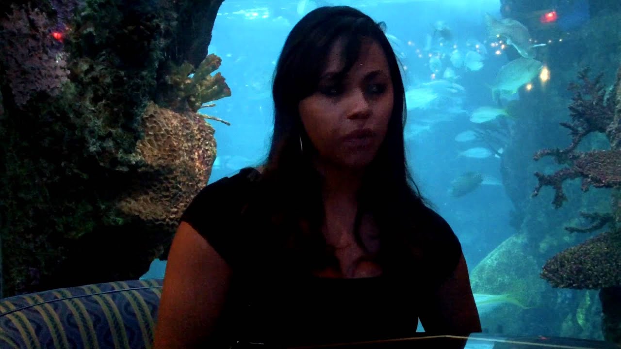 Interview with Mermaid, Downtown Aquarium, Denver