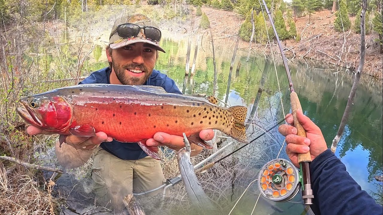 TINY LAKE Filled With GIANT TROUT!! (Catch & Cook)