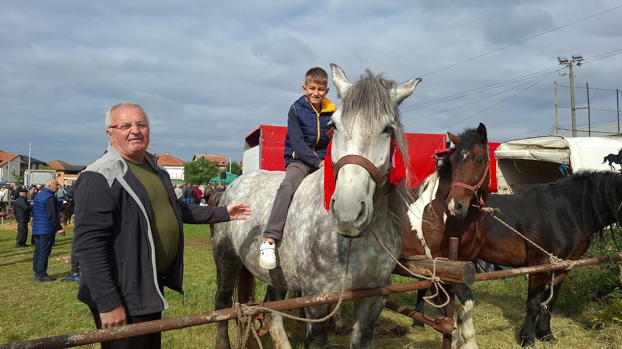 Sve &scaron;to ima selo &ndash; od konja do traktora! Gračanica 2025 #gracanica2025 #agroculture #horse #konji 