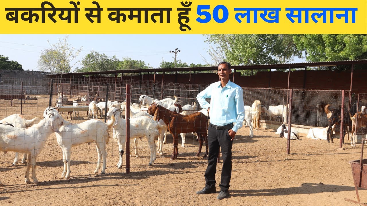 बकरियों से कमाता हूँ 50 लाख सालाना  II 2024 Target 1 करोड़
