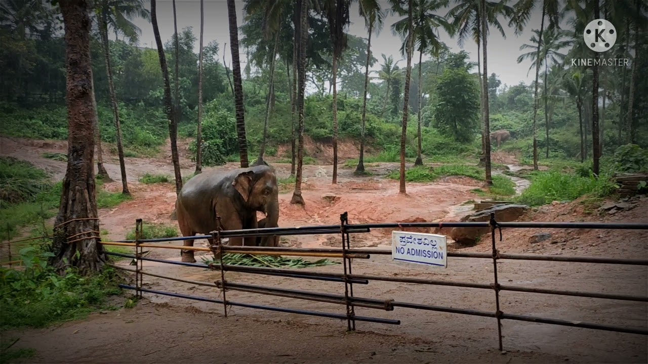 Dharmasthala | Monsoon ride | Road trip