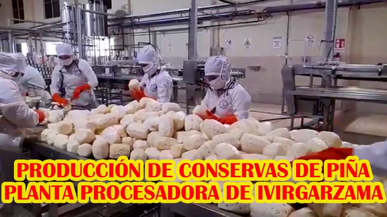 ASI SE PRODUCE CONSERVAS DE PIÑAS EN BOLIVIA...