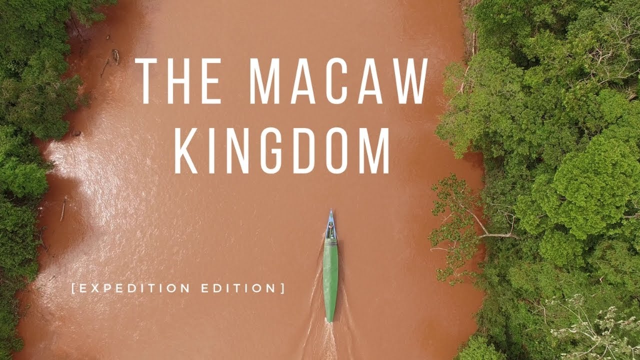 The Macaw Kingdom | Documentary [Expedition Edition]