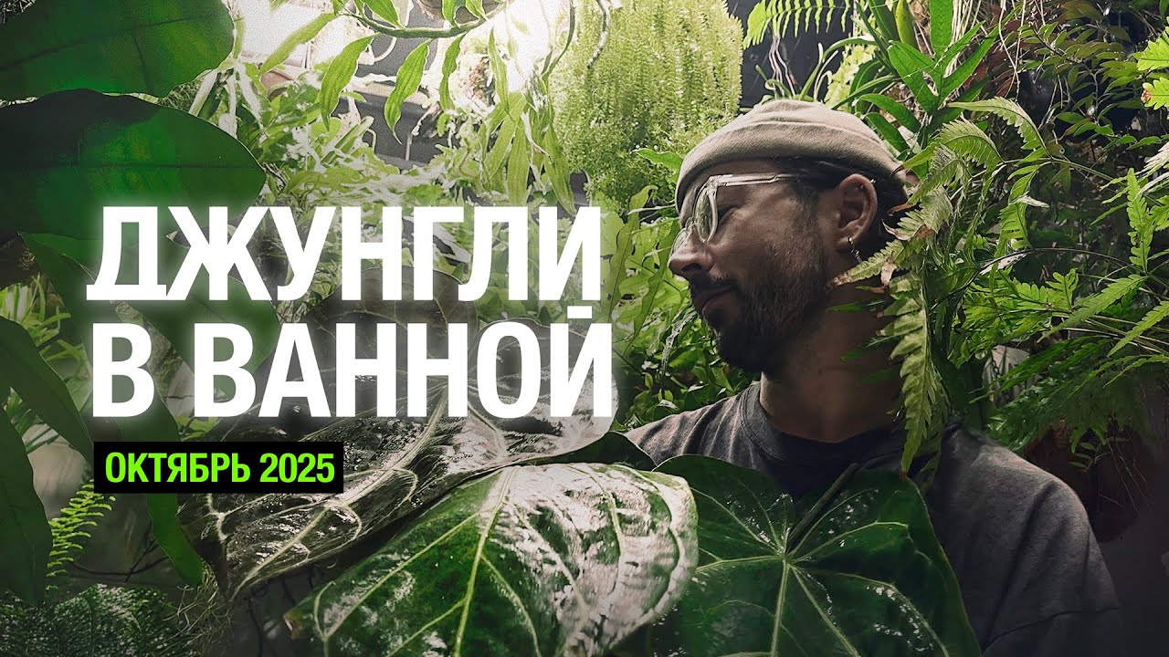 ДЖУНГЛИ В ВАННОЙ / обзор растений / результаты тестирования препаратов