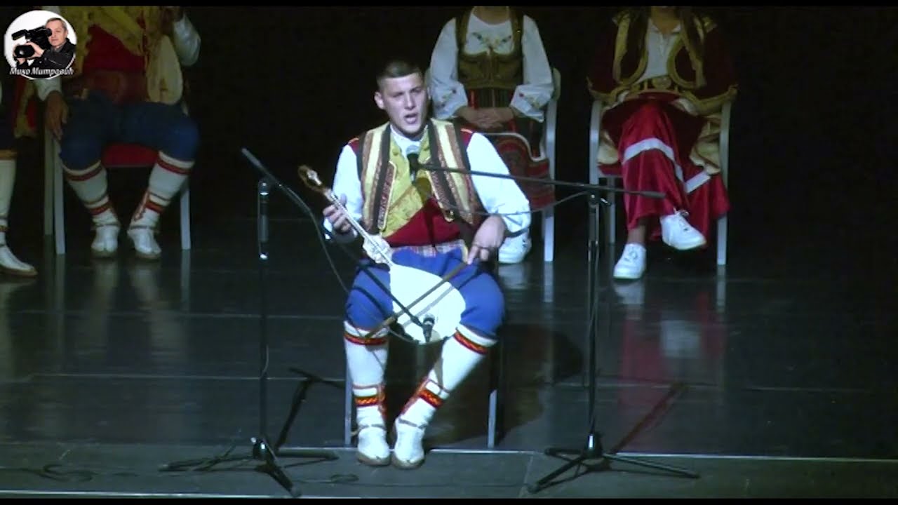 MAKSIM VOJVODIĆ   NARODNI GUSLAR