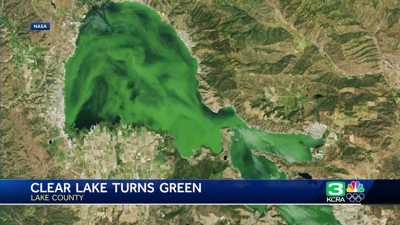 Clear Lake&rsquo;s green algae is visible from space, NASA photo shows. It's also beneficial