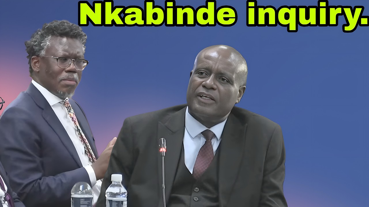 Nkabinde Inquiry: Adv. Nicole Mayet SC leads the cross-examination Adv. Andrew Chauke