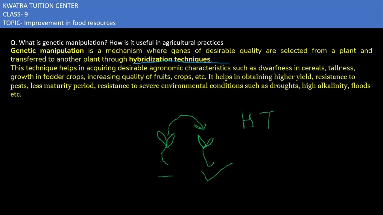 19. What is genetic manipulation? How is it useful in agricultural practices?