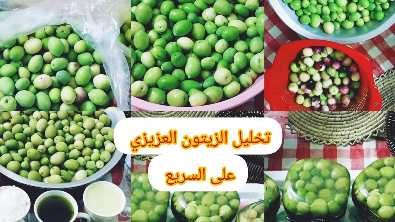 تخليل الزيتون العزيزي على السريع بدون نقع ولا شق ودق وبدون مراره أسبوعين بس ويكون جاهز للأكل @