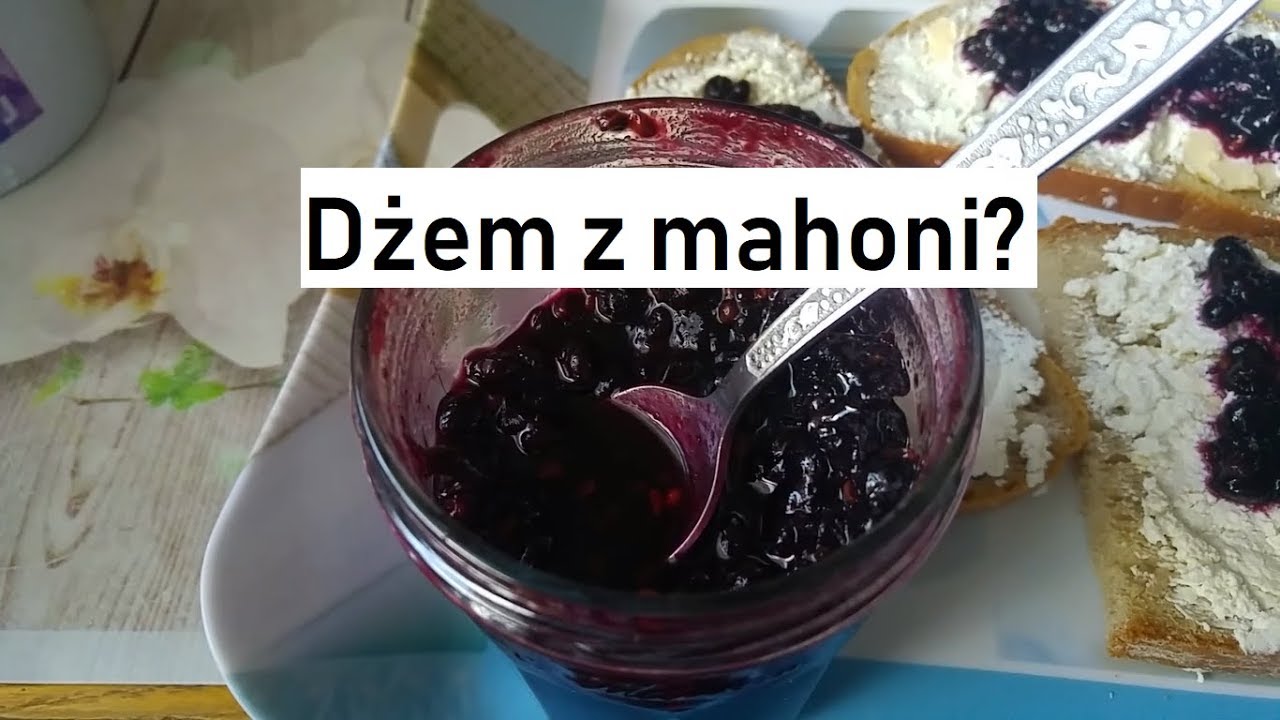 Czy dżem z mahonii jest trujący? - robimy i sprawdzamy.