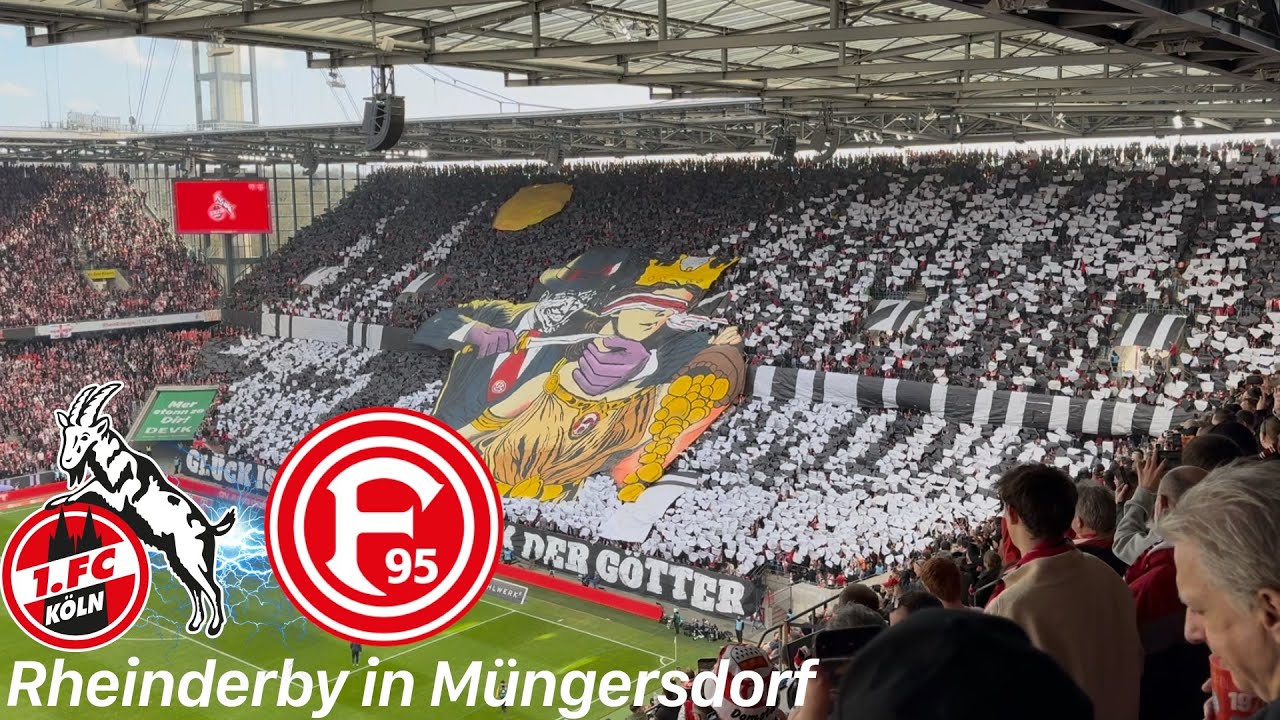 1.FC Köln - Fortuna Düsseldorf | fehlende Ultras, Choreo & Last Minute Ausgleich beim Rheinderby