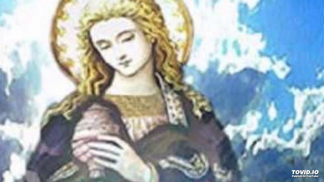 34. PERFILADOS - Maria Dami&atilde;o