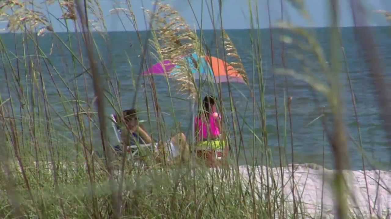Delnor-Wiggins Pass State Park, Naples FL