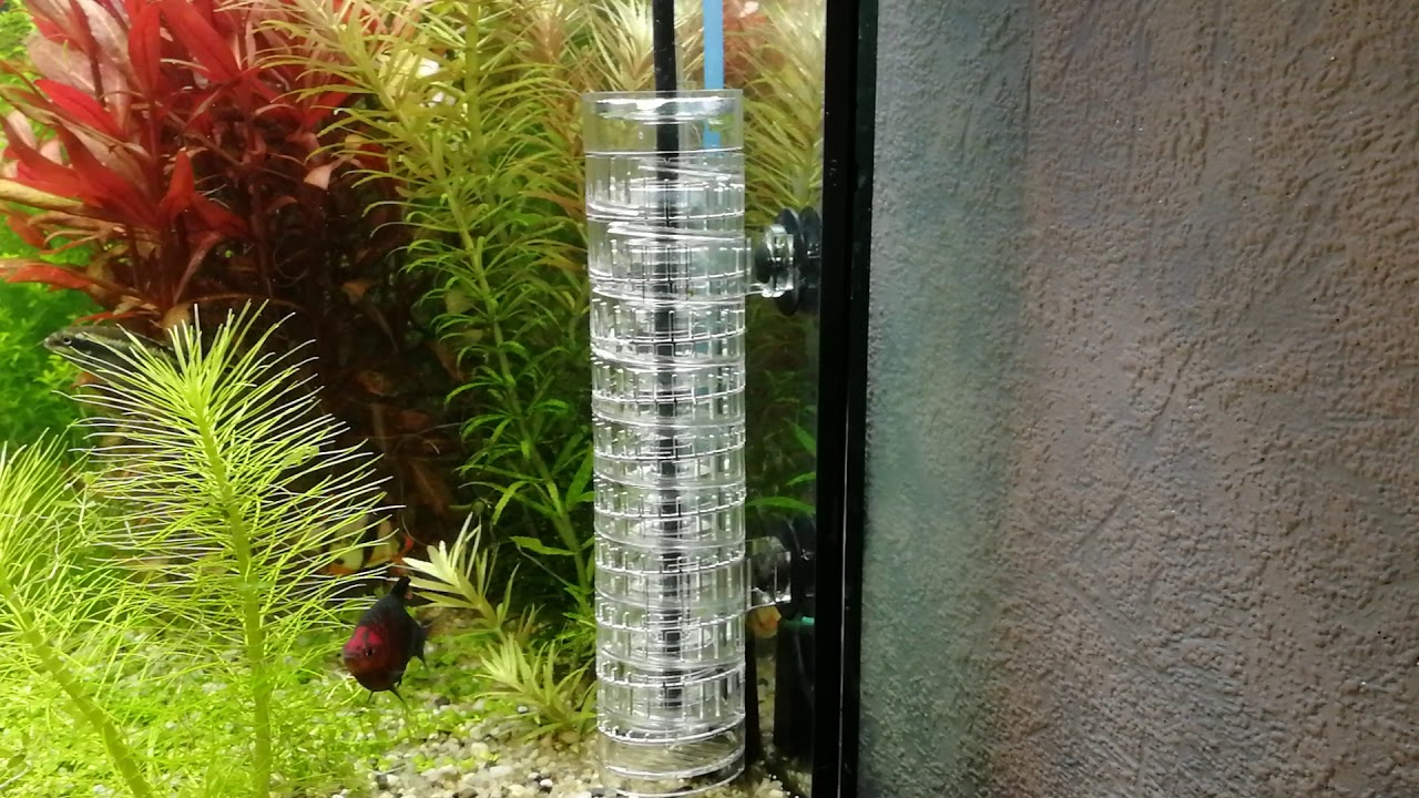 Jbl ProFlora Taifun M10