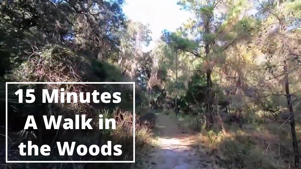 15 Minute Beginner Cardio: Virtual Scenery for Treadmill 