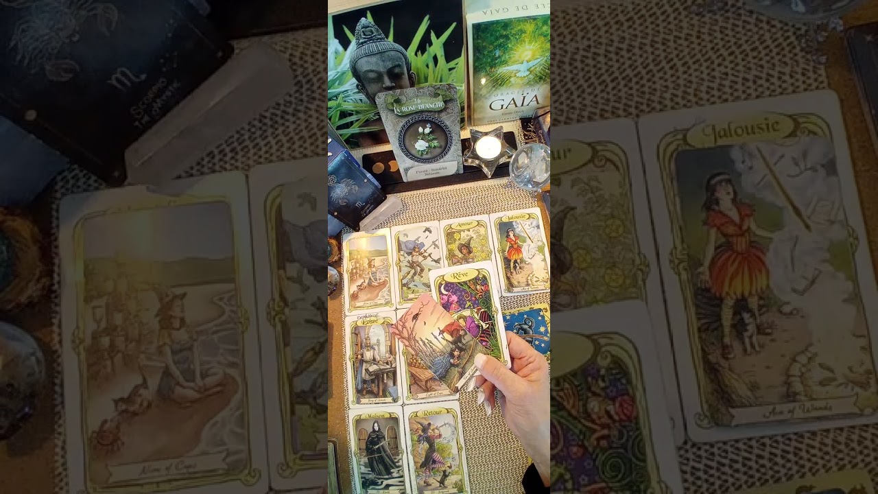 SCORPION 2ème quinzaine de FÉVRIER 2026. Les énergies autour de vous sont positives..💕🌞💕