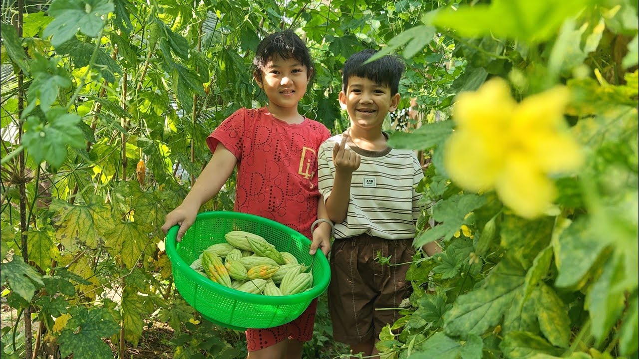 Mùng 3 Tết 2026 | Nhím & Chị Kim Hái Khổ Qua Sau 2 Tháng Gieo Hạt