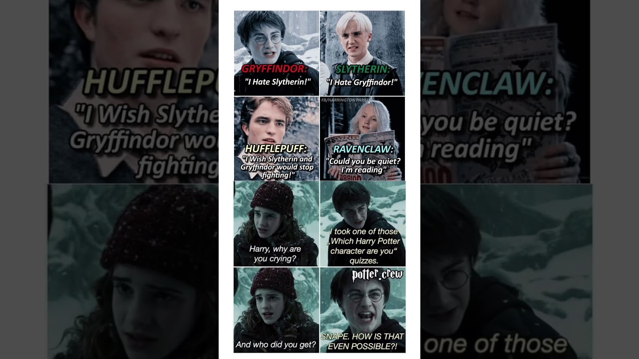 &ldquo;Hogwarts Houses Be Like 😂 | Gryffindor vs Slytherin vs Hufflepuff vs Ravenclaw Meme&rdquo;