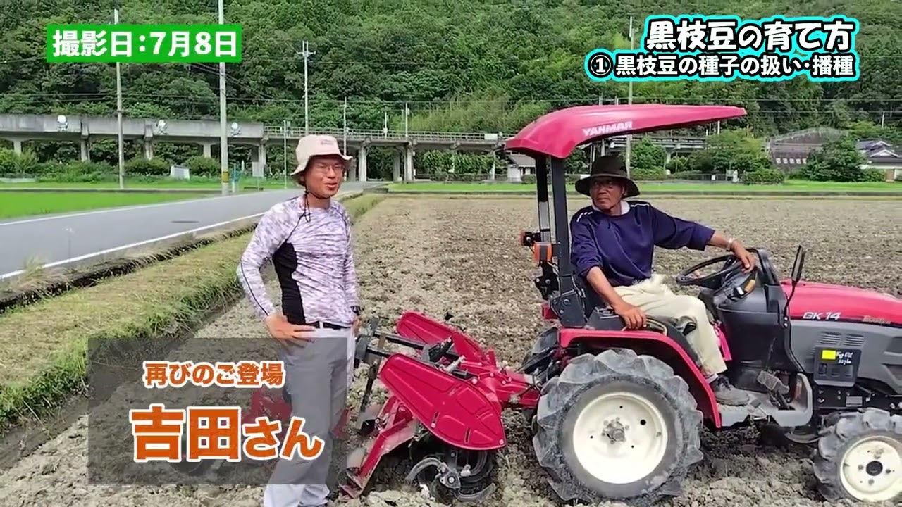【1】黒枝豆の育て方  播種編