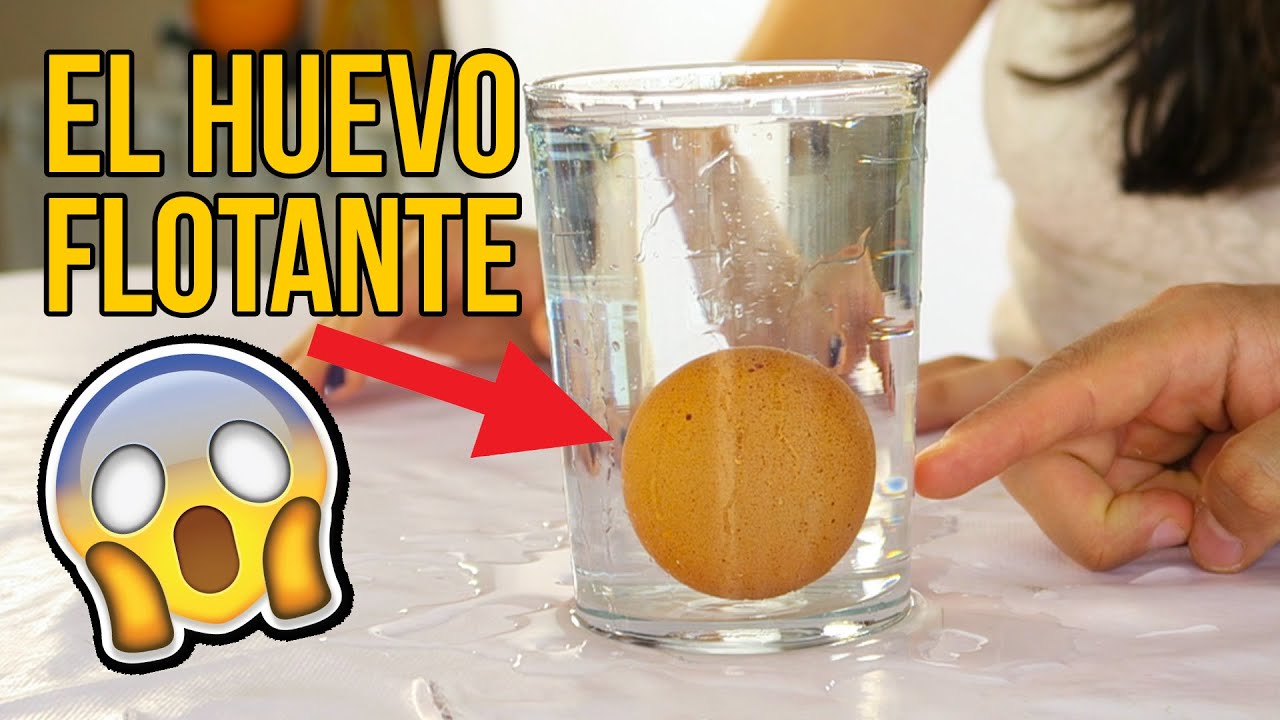 EL TRUCO DEL HUEVO FLOTANTE, APUESTAS DIVERTIDAS