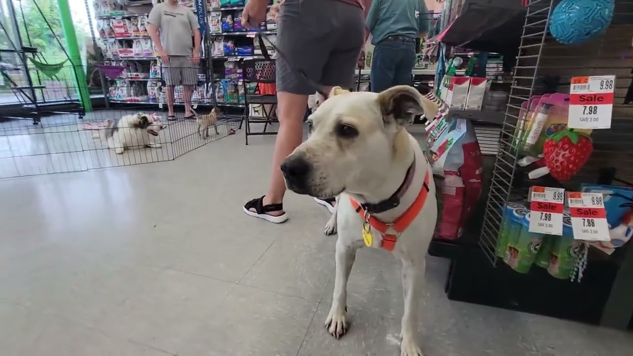Pet Supplies Plus Event! (July 13th, 2024)