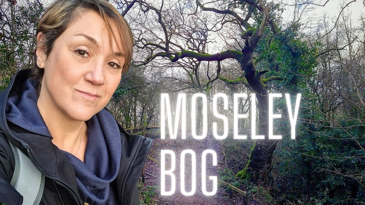 Journey through Tolkien's Mysterious Shadowed Land