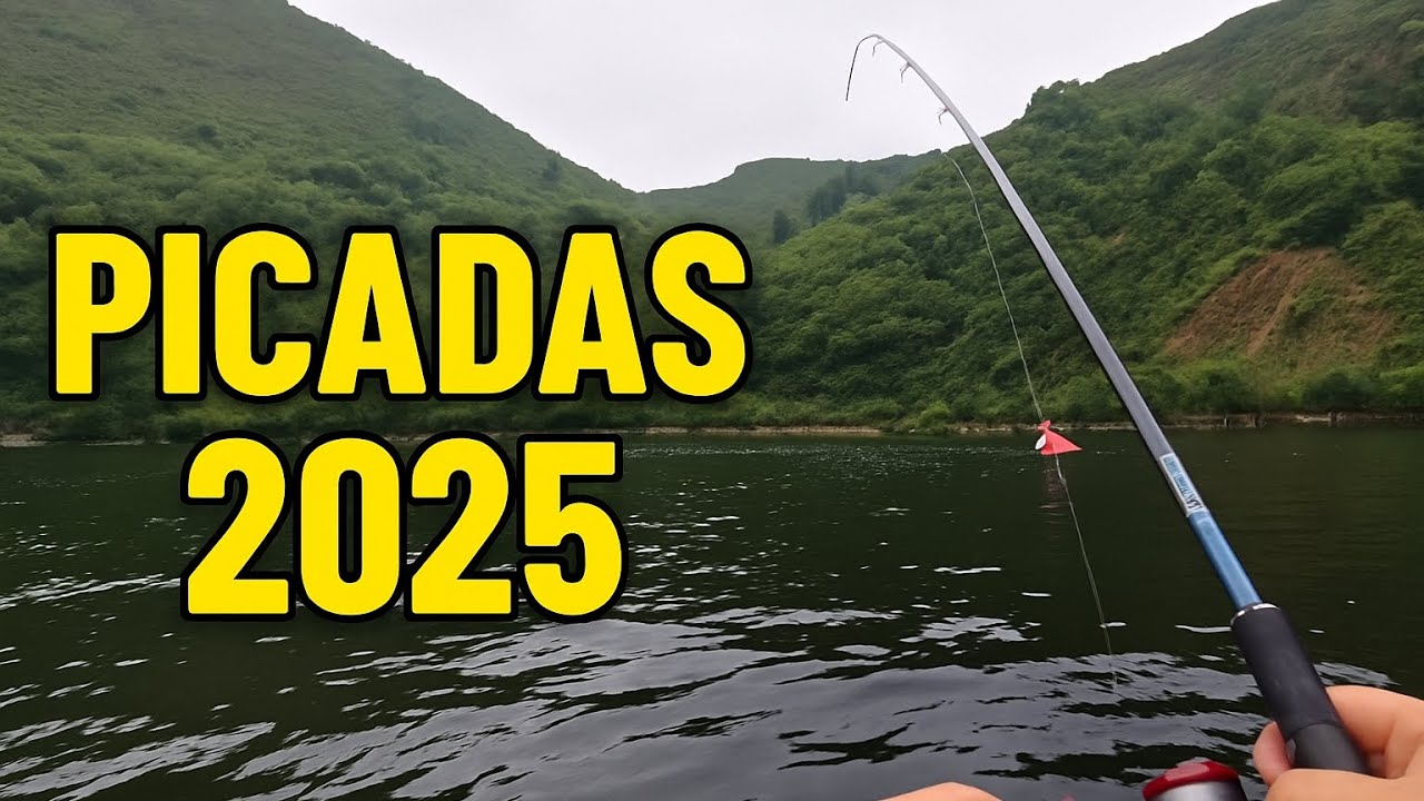 TRUCHAS DESDE PATO 🎣🔥 | Varios d&iacute;as de acci&oacute;n a spinning 
