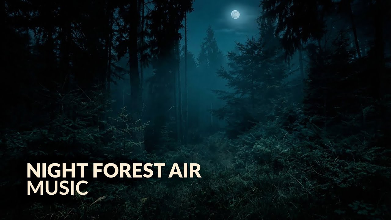 528Hz Healing Music | Deep Relaxation & Inner Peace Meditation in Forest