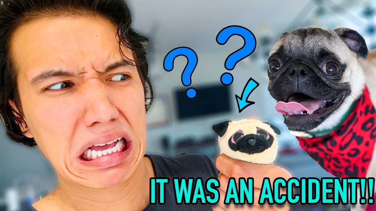 TURNED HIM INTO A TOY!! MAGIC POWERS!!