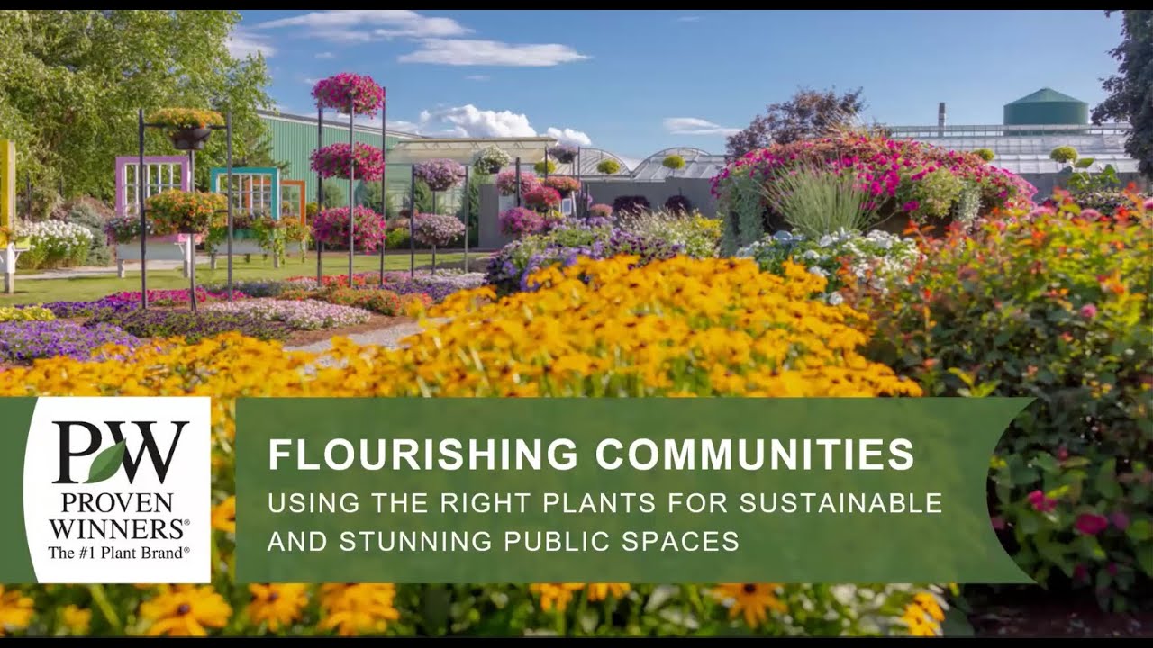 Flourishing Communities: Using the Right Plants for Sustainable and Stunning Public Spaces