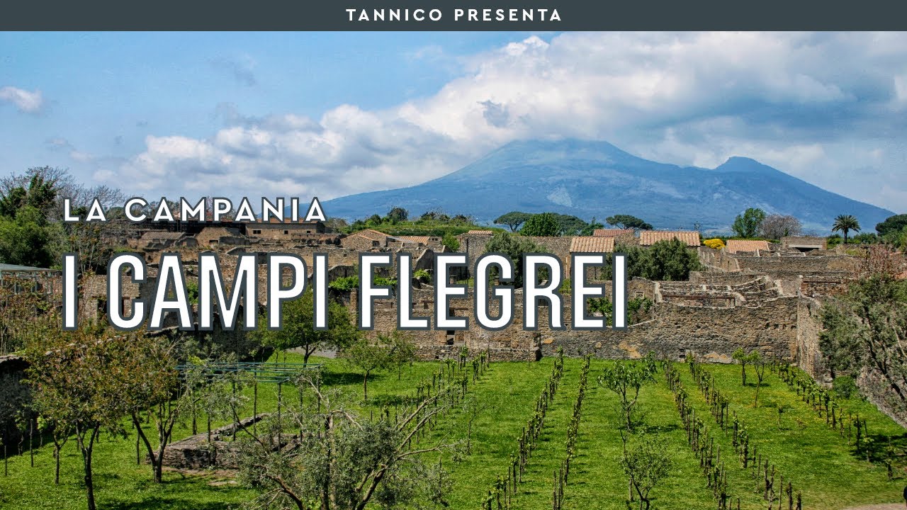 La Campania e i suoi vini vulcanici: i Campi Flegrei | Tannico