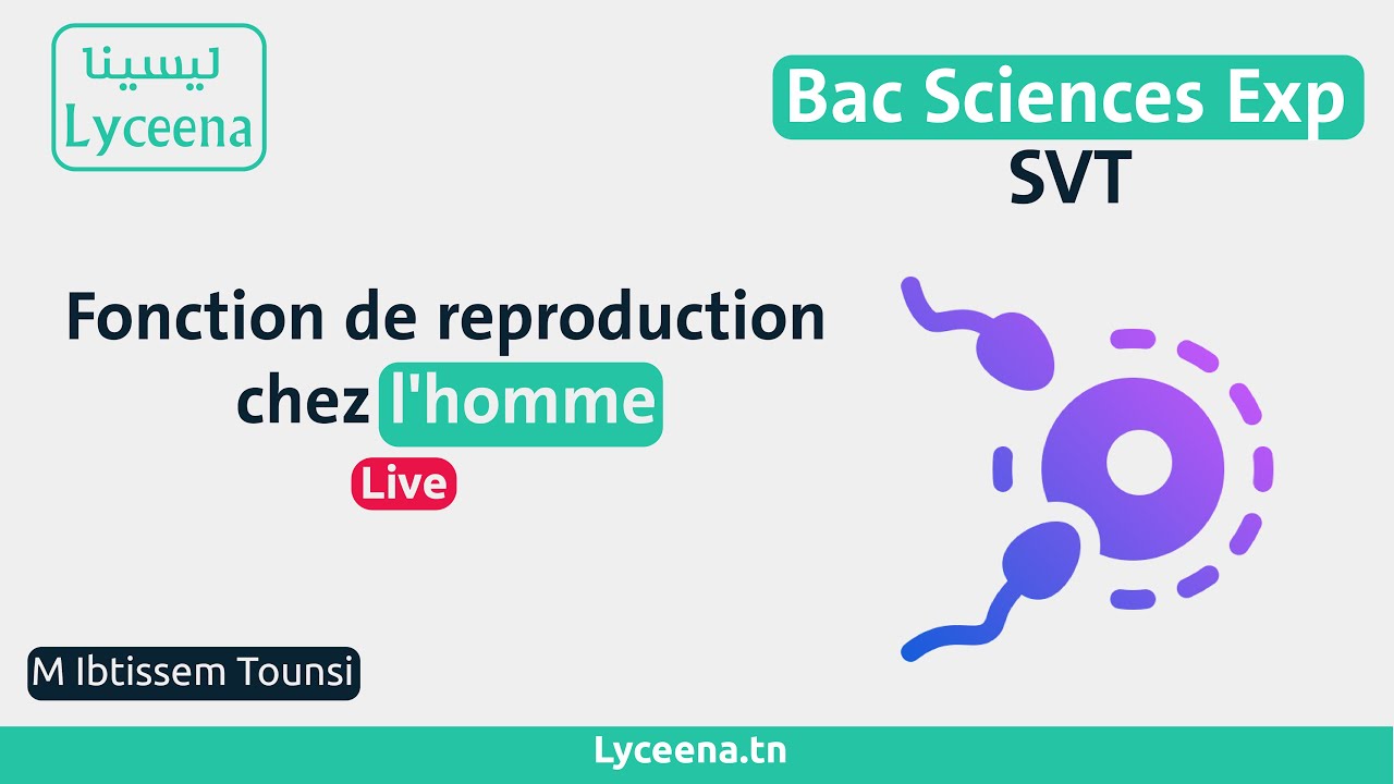 Live: SVT - Bac Sciences Exp - Madame tounsi