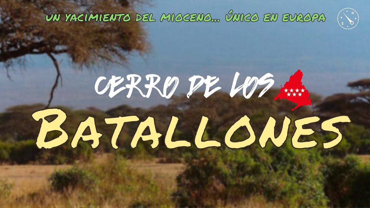 Cerro de los BATALLONES | Un yacimiento del mioceno único en Europa