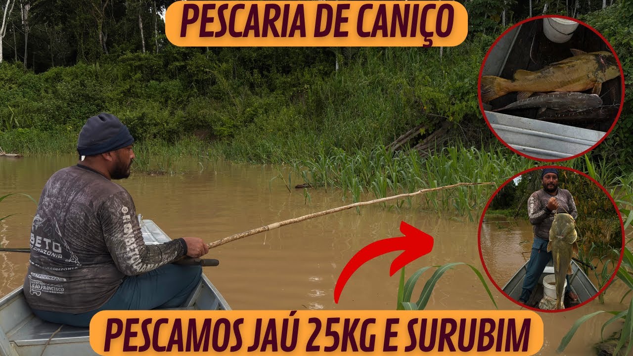 PESCARIA DE CANIÇO - PESCAMOS PEIXE JAÚ E SURUBIM
