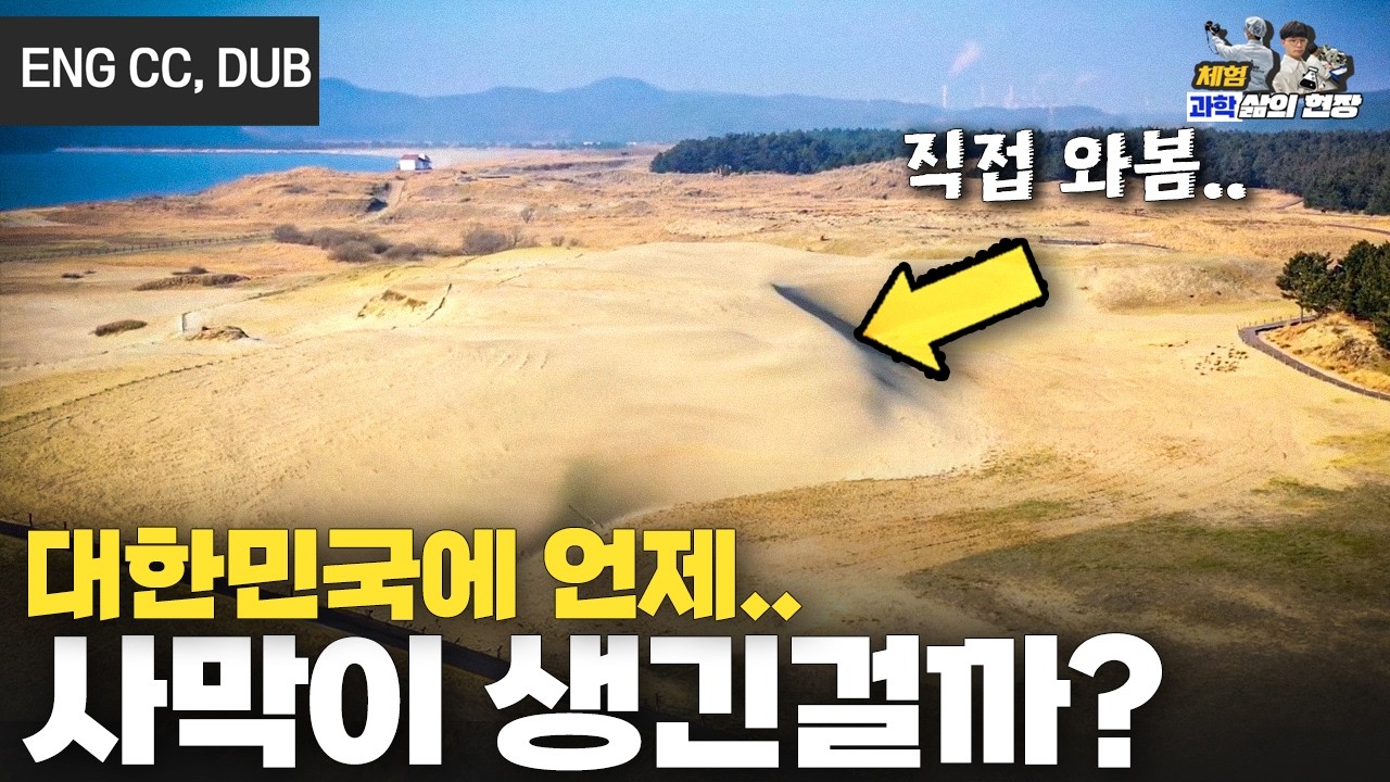 우리나라에도 사막이 생겼다는데.. 직접 가보았다.[with 한국관광공사]