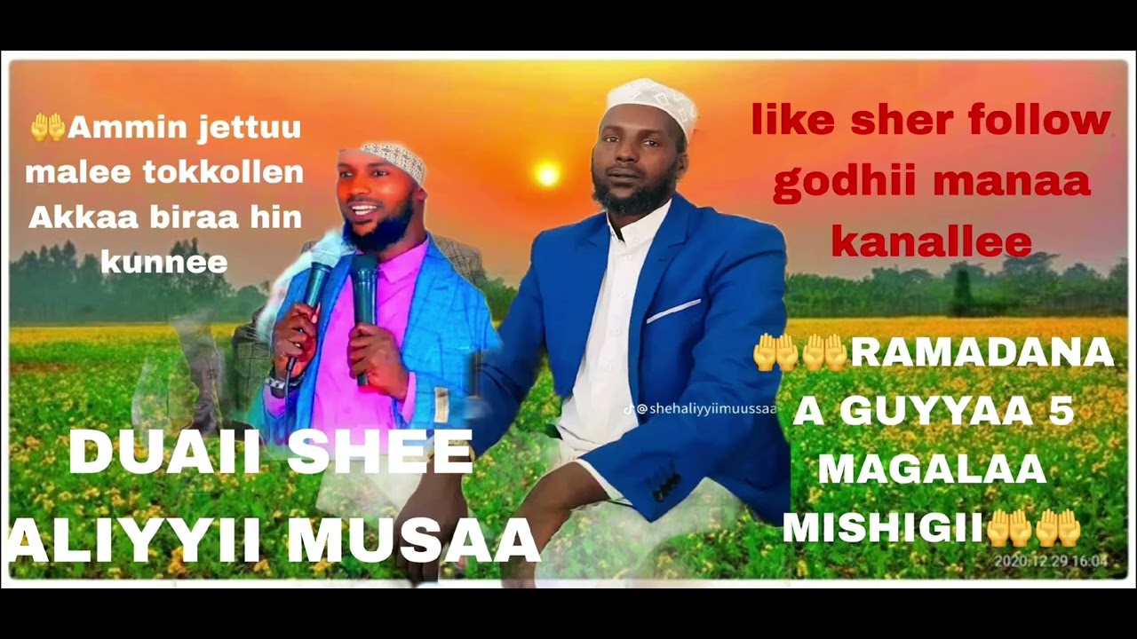 DUAII SHEK ALIYYII MISHIGII AMMIN JETTUU MALEE BIRAA HIN KUTIN