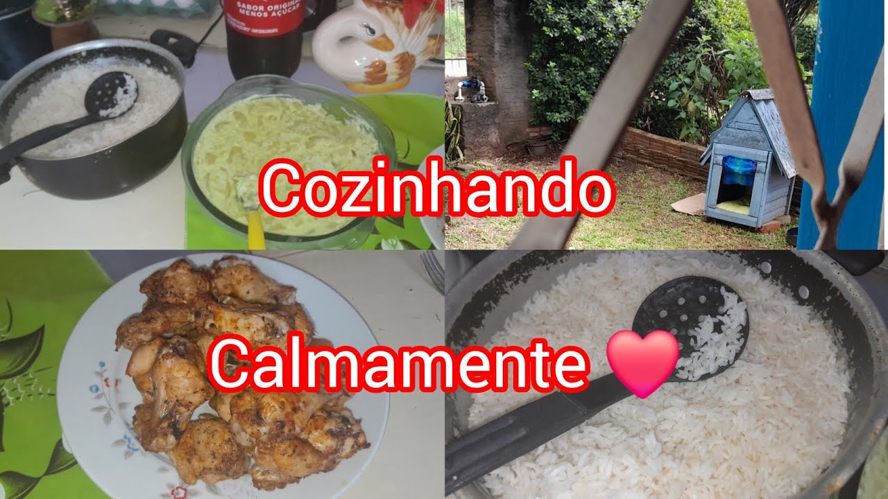  Limpeza luna ganhou uma casinha 🐕 fomos buscar/fiz um almoço delicioso maionese coxinha na arfray 