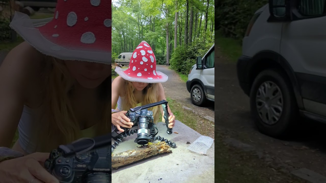 today's mushroom finds 🍄🥰 #mushroomhunting #vanlife #cowgirl #northcarolina #wildmushrooms