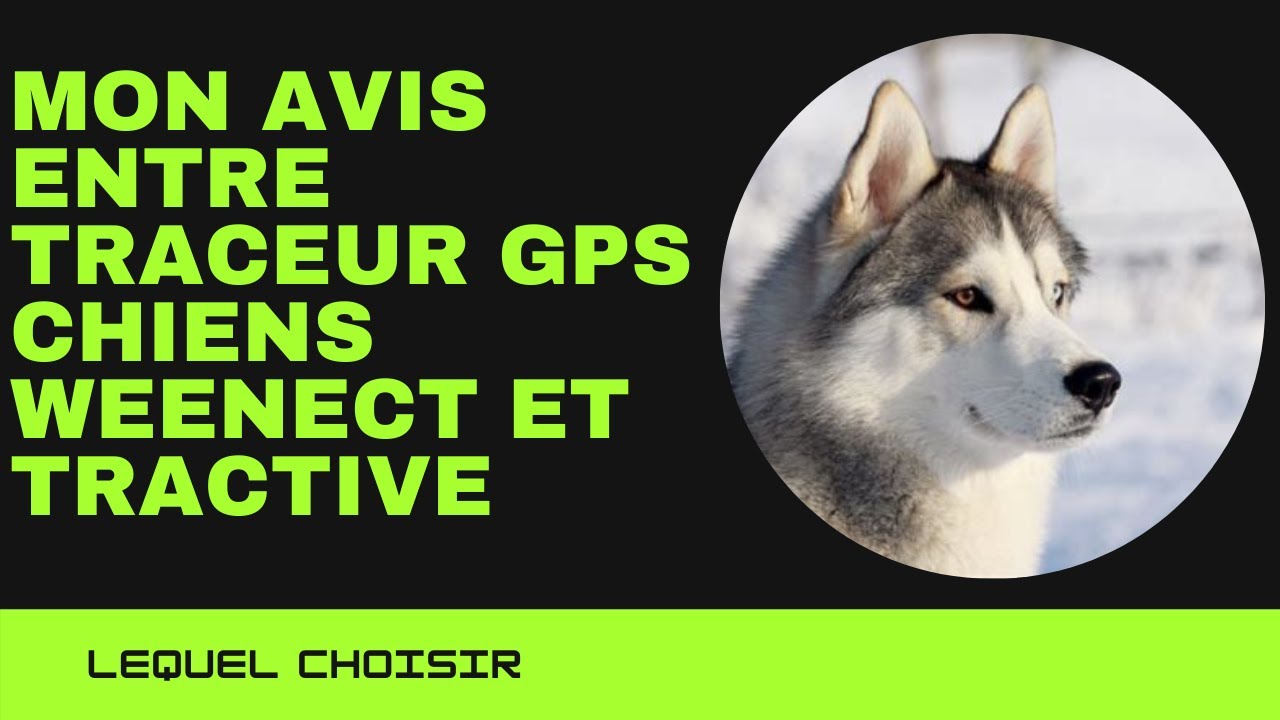 Comparaison entre traceur weenect dogs 2 et tractive gps dog 4