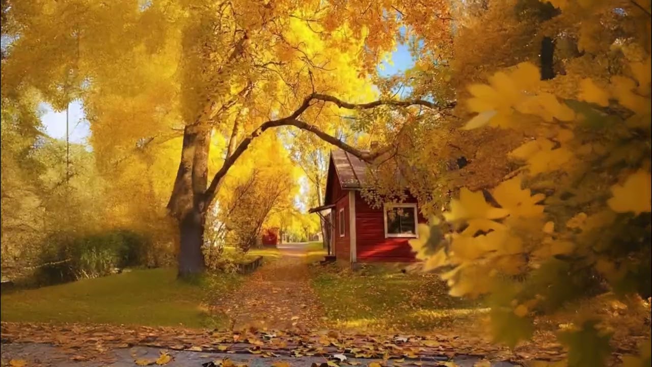 It&rsquo;s so nice, so of course I want to share it with you