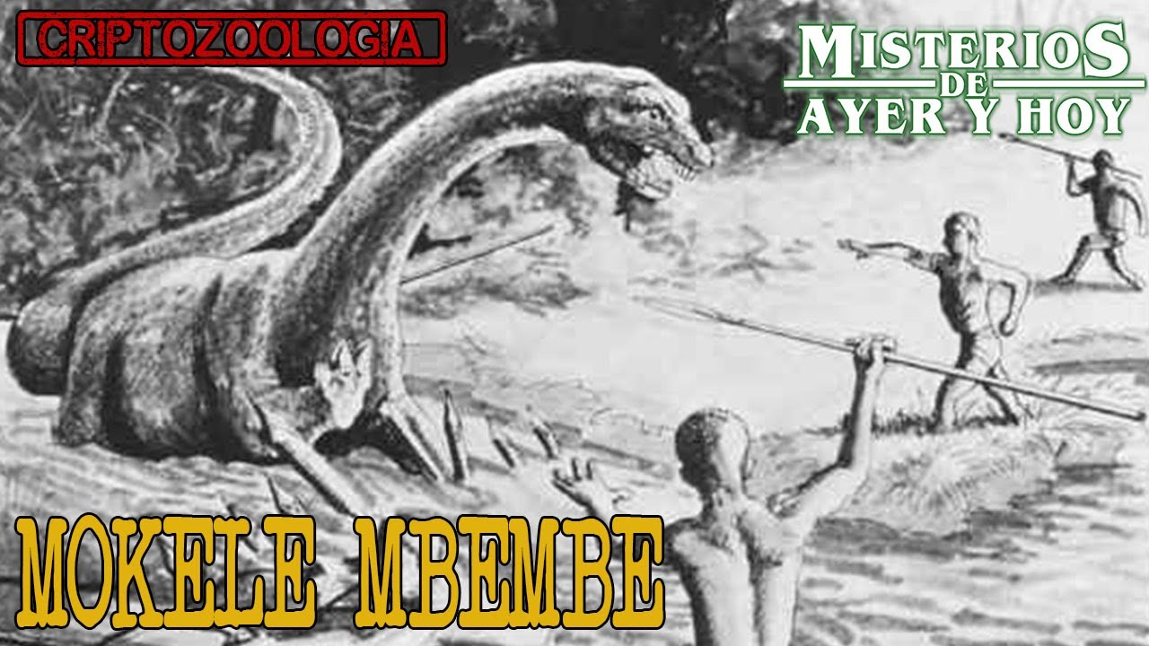 Criptozoolog&iacute;a: Tras La Pista Del &Uacute;ltimo Dinosaurio | Mokele Mbembe