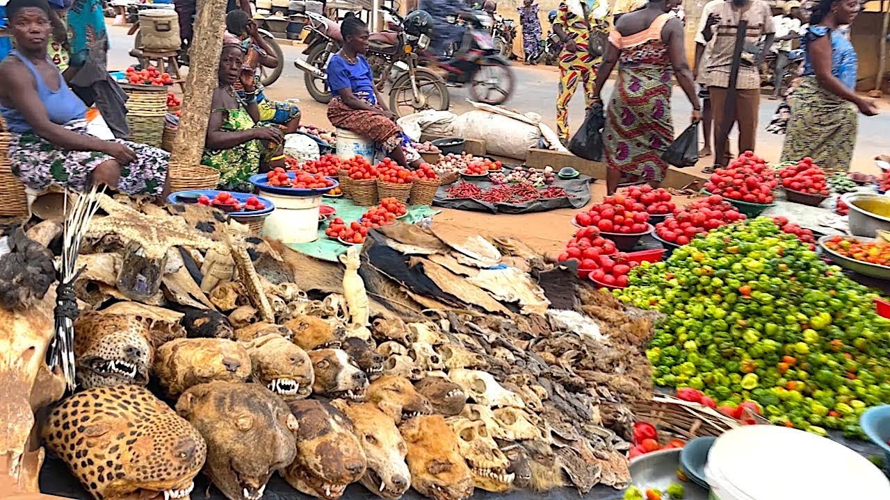 Anfoin Rural Organic African Outdoor Market In West Africa - Cost Of Food In Africa