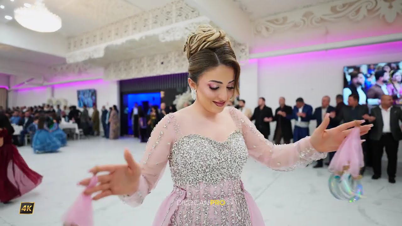 Imad Selim /Bayar & Sidra / Part03 / #DilocanPro #Hochzeit #Wedding #Kurdish #Dilocan
