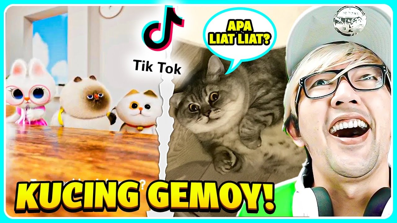 BANG CUPU REAKSI VIDEO LUCU TIKTOK!! GUCING PALING GEMOYY DI DUNIA