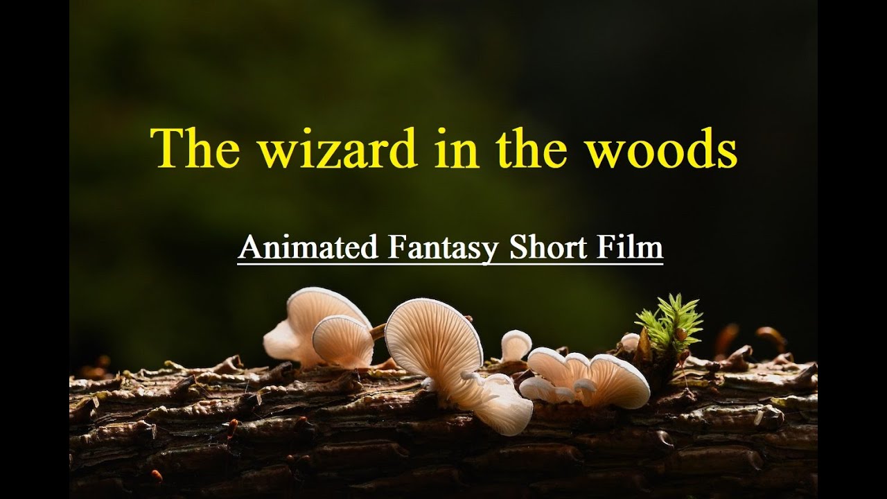 The Wizard in the Woods | Animated Fantasy Short Film | Studio Suzo