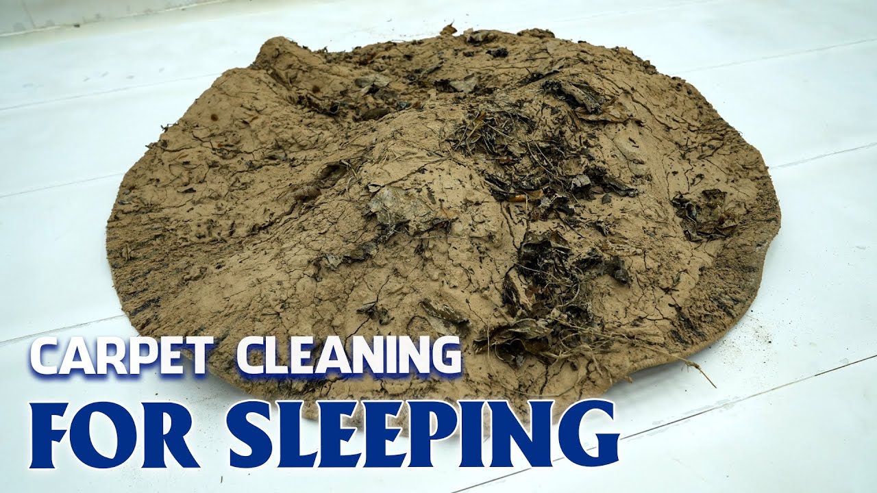 Carpet Cleaning Sounds for Sleep – 8-Hour ASMR for Deep Relaxation and Calm - ASMR Sleep